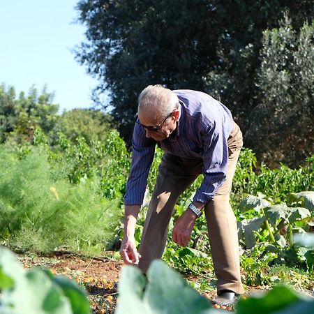 Masseria Grieco Остуни Екстериор снимка