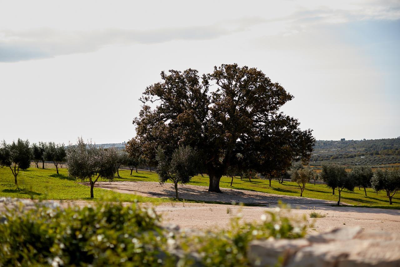 Masseria Grieco Остуни Екстериор снимка